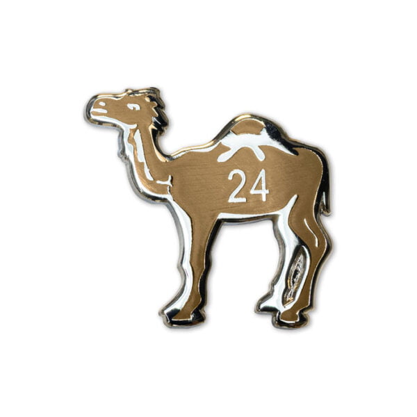 AA kameeltje